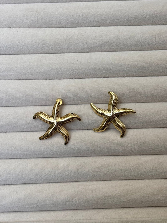 EARRING -C110