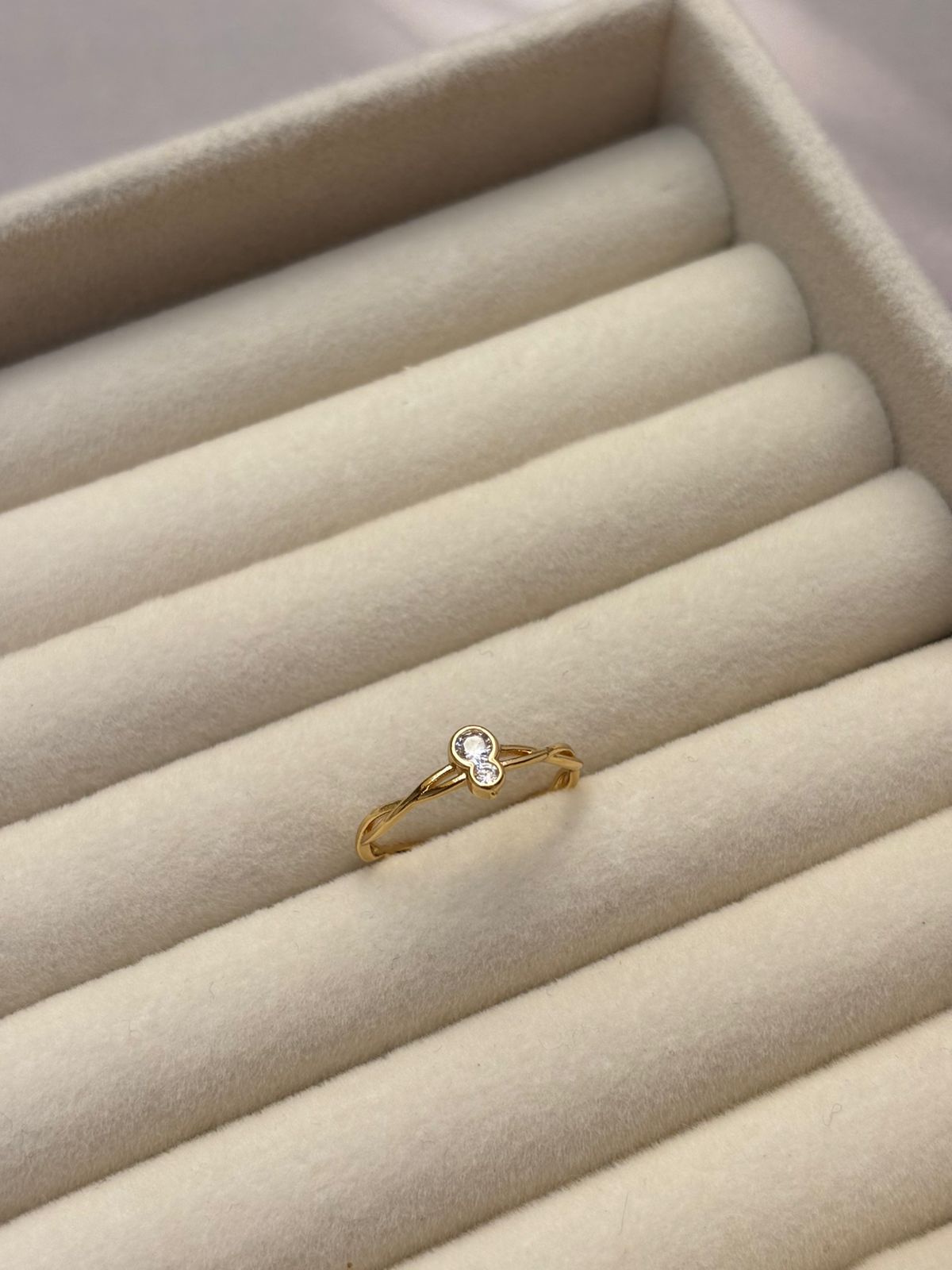 RING -NF061