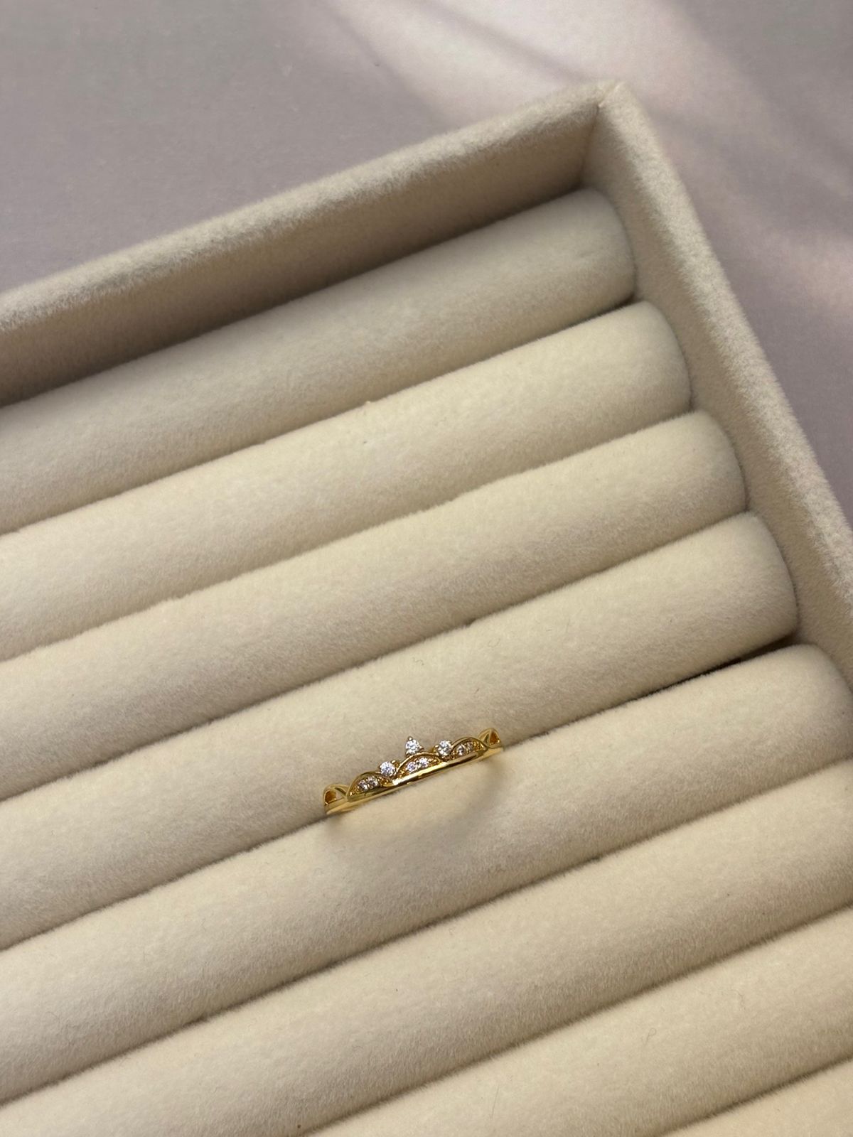 RING -NF055