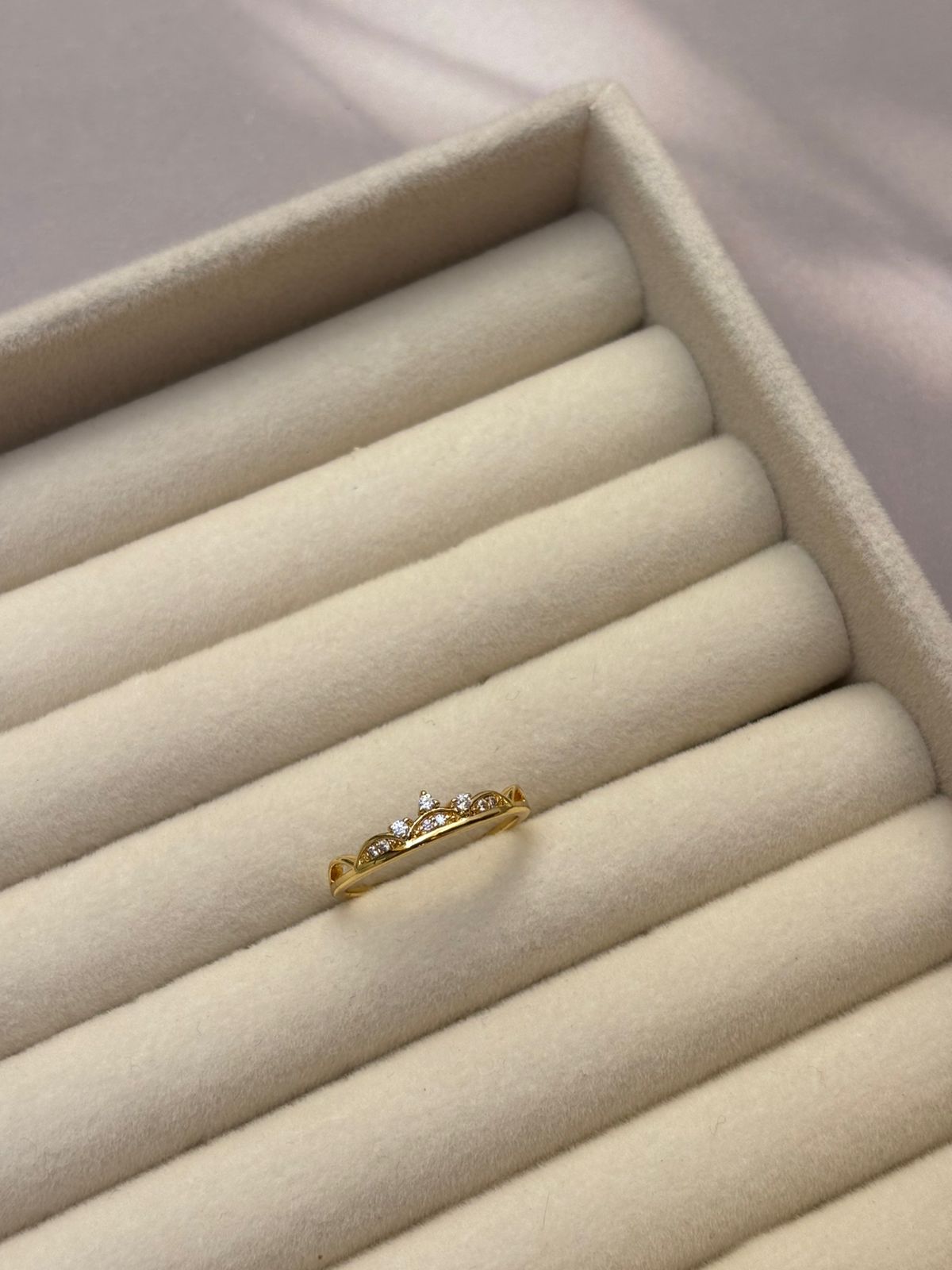 RING -NF055