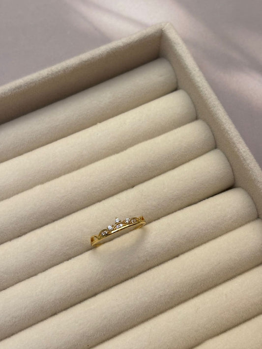 RING -NF055